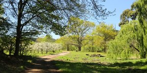 Appleberry Farm
